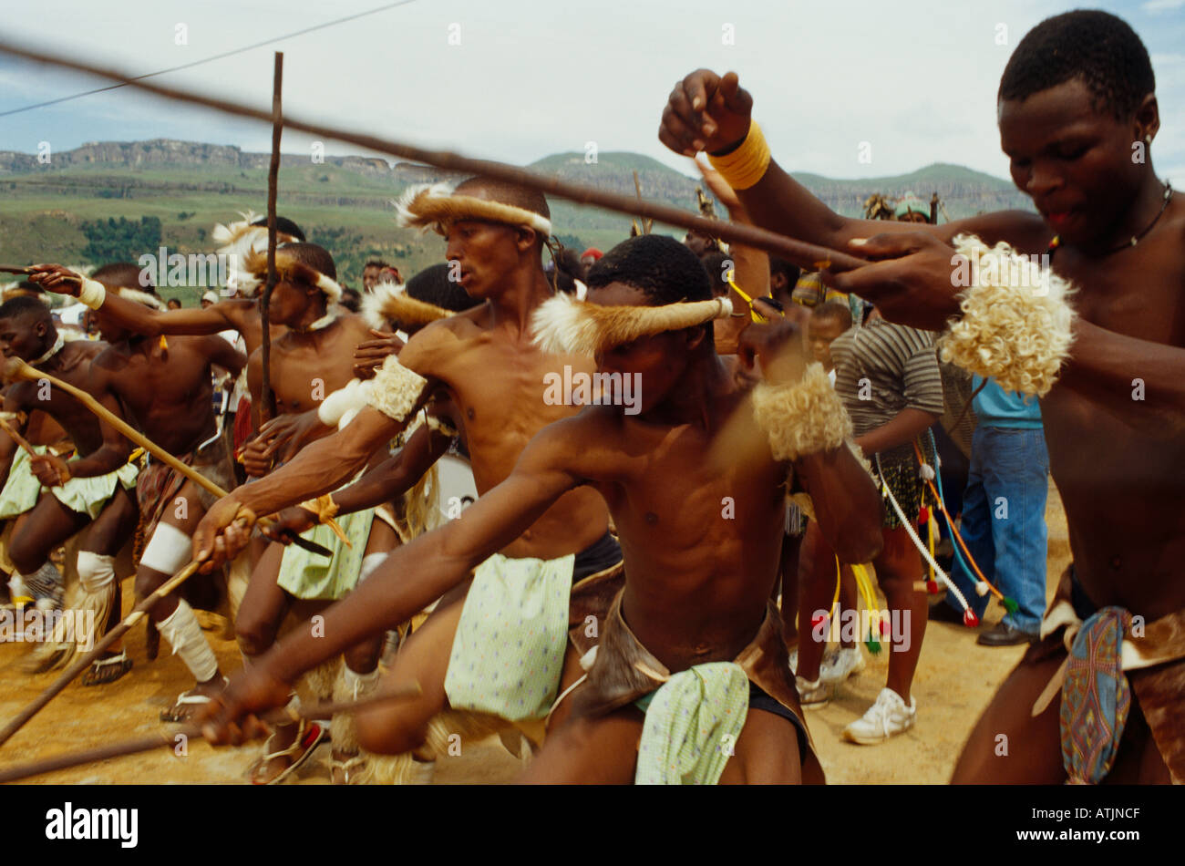 Zulu stick fighting hi-res stock photography and images - Alamy