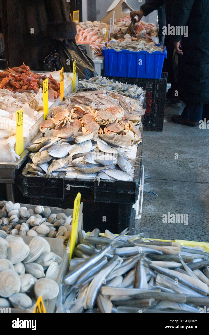 Outdoor fish market on Canal street in Chinatown, New York City Stock ...