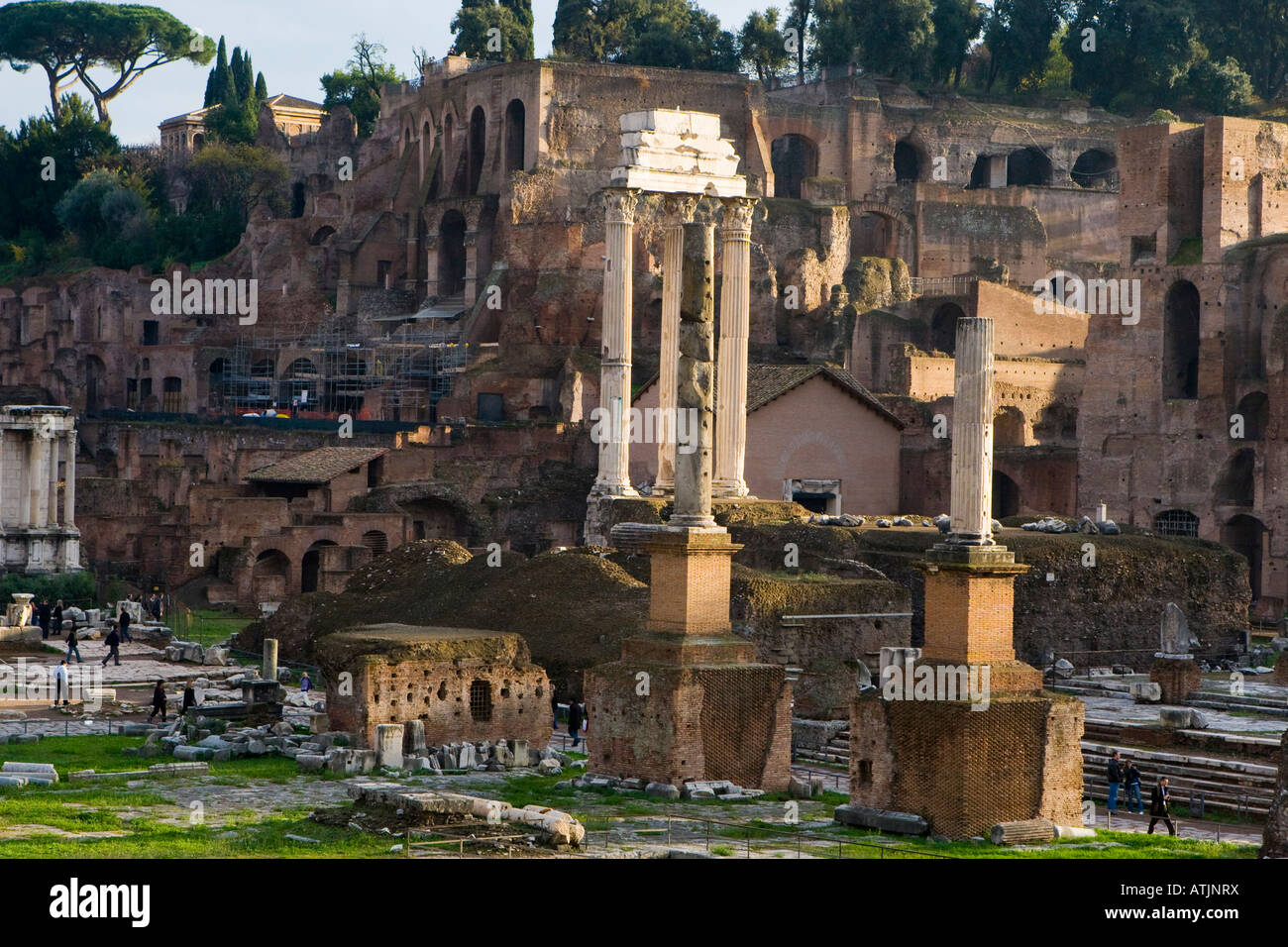 The Roman Forum, Rome Roma Italy Italia Stock Photo