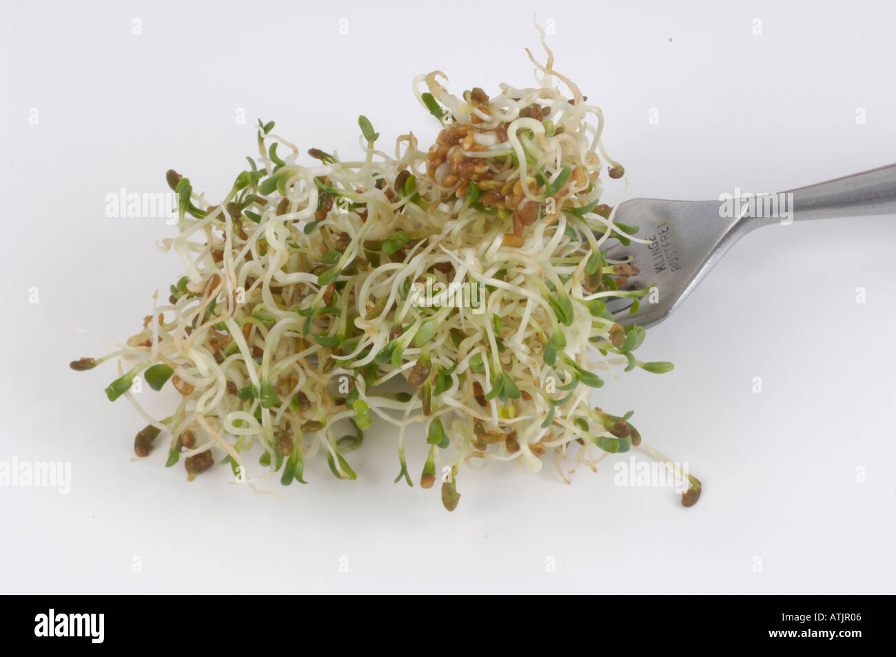 Lucerne / Alfalfa Stock Photo Alamy