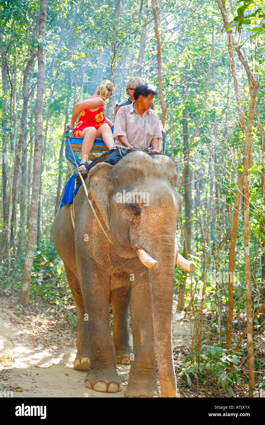 Elephant Ride into rainforest, Koh Lanta, Thailand Stock Photo - Alamy