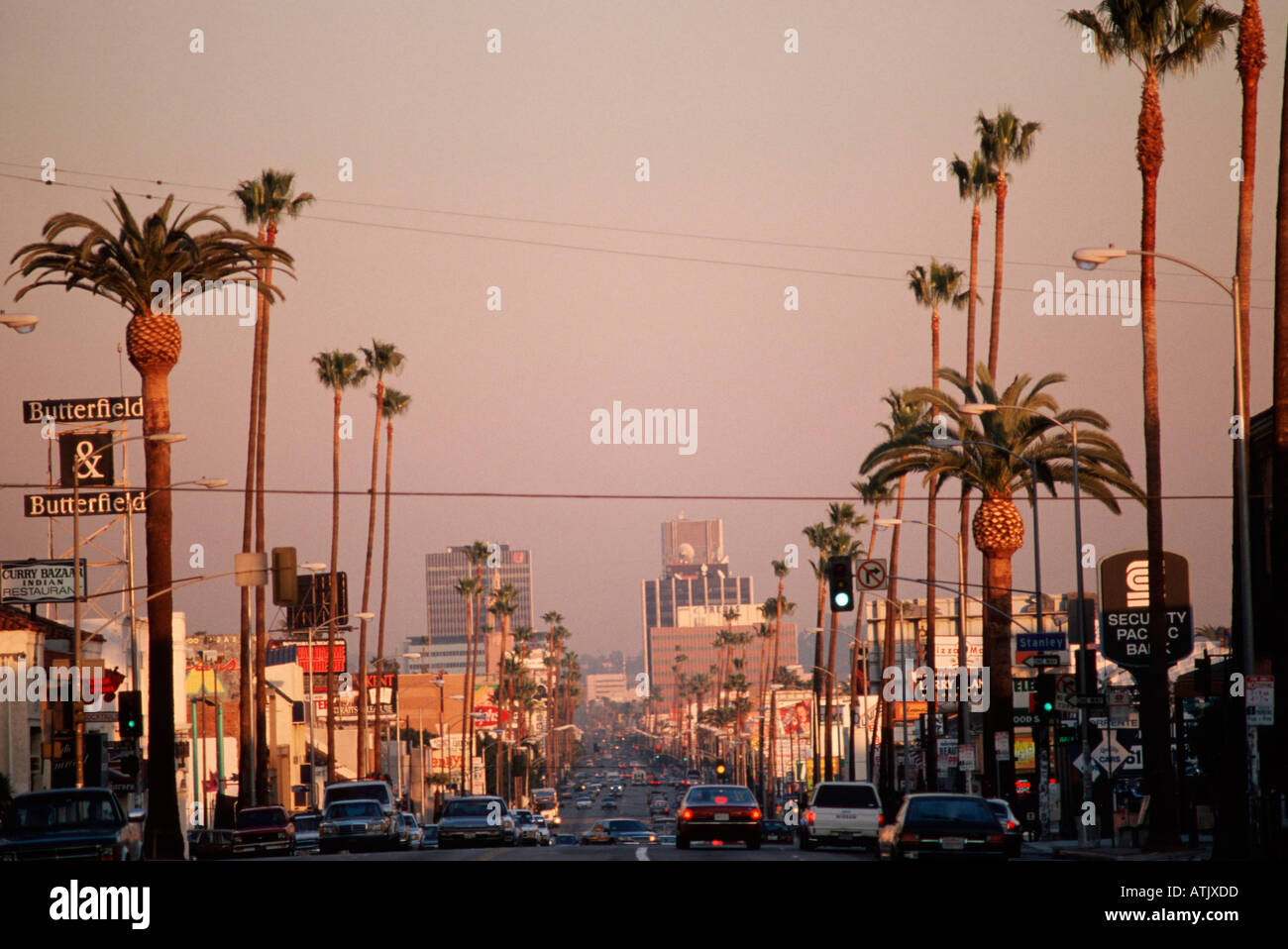 Sunset Boulevard / Los Angeles Stock Photo