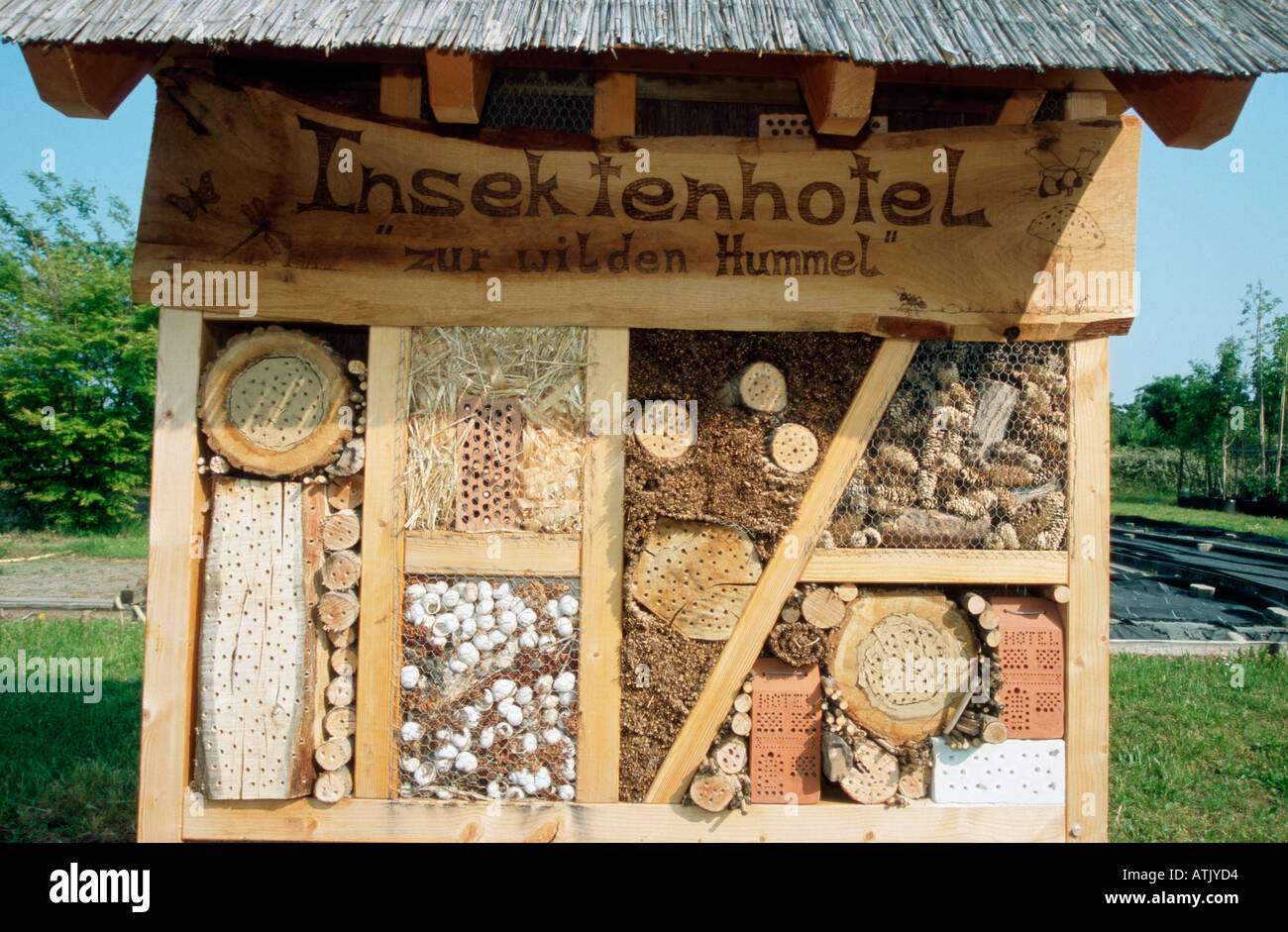 Nesting for insects Stock Photo