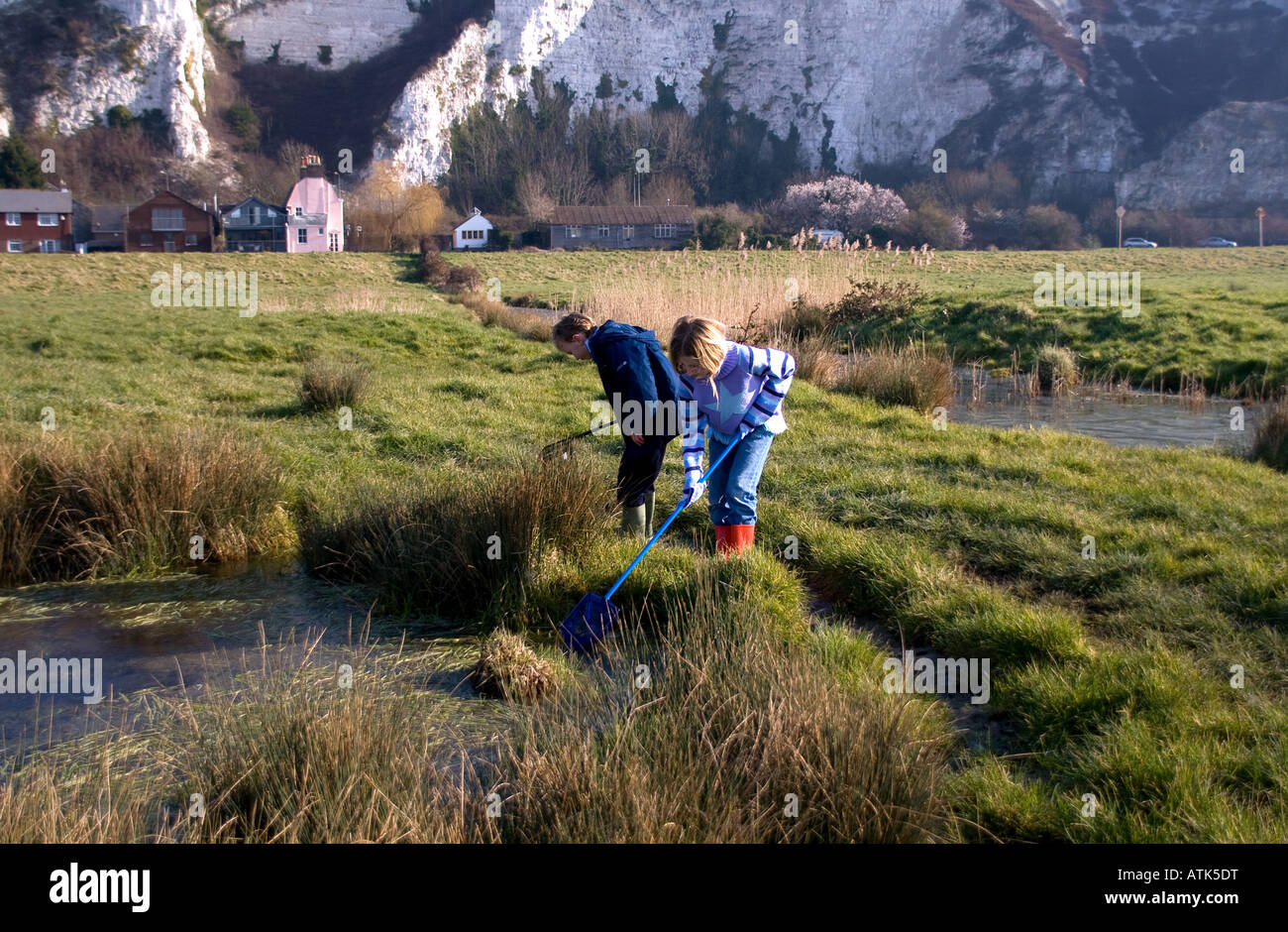 Pond dipping at Lewes Railway Land nature reserve Stock Photo Alamy