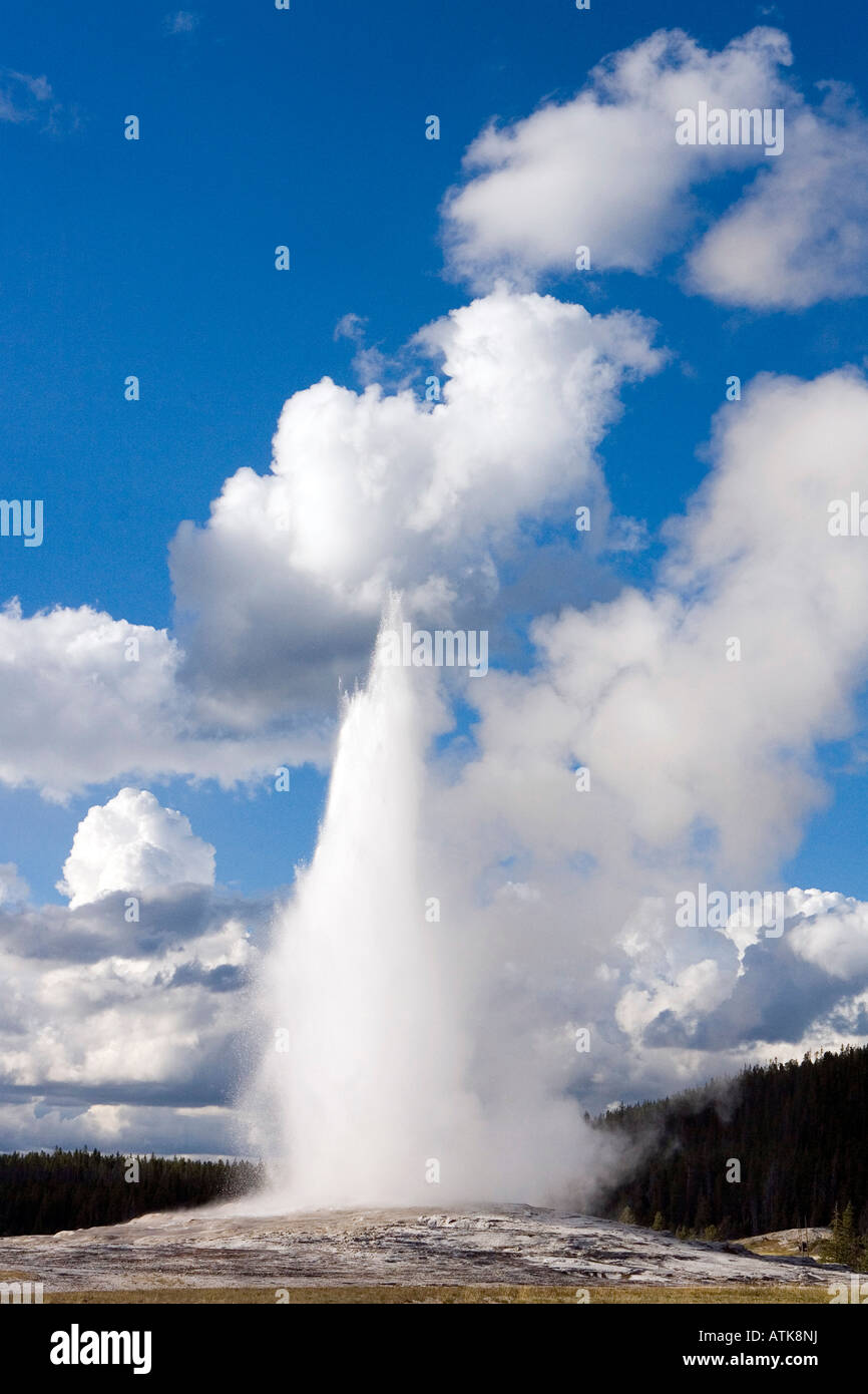 Eruption of Old Faithful Geyser Yellowstone National Park Wyoming Stock ...