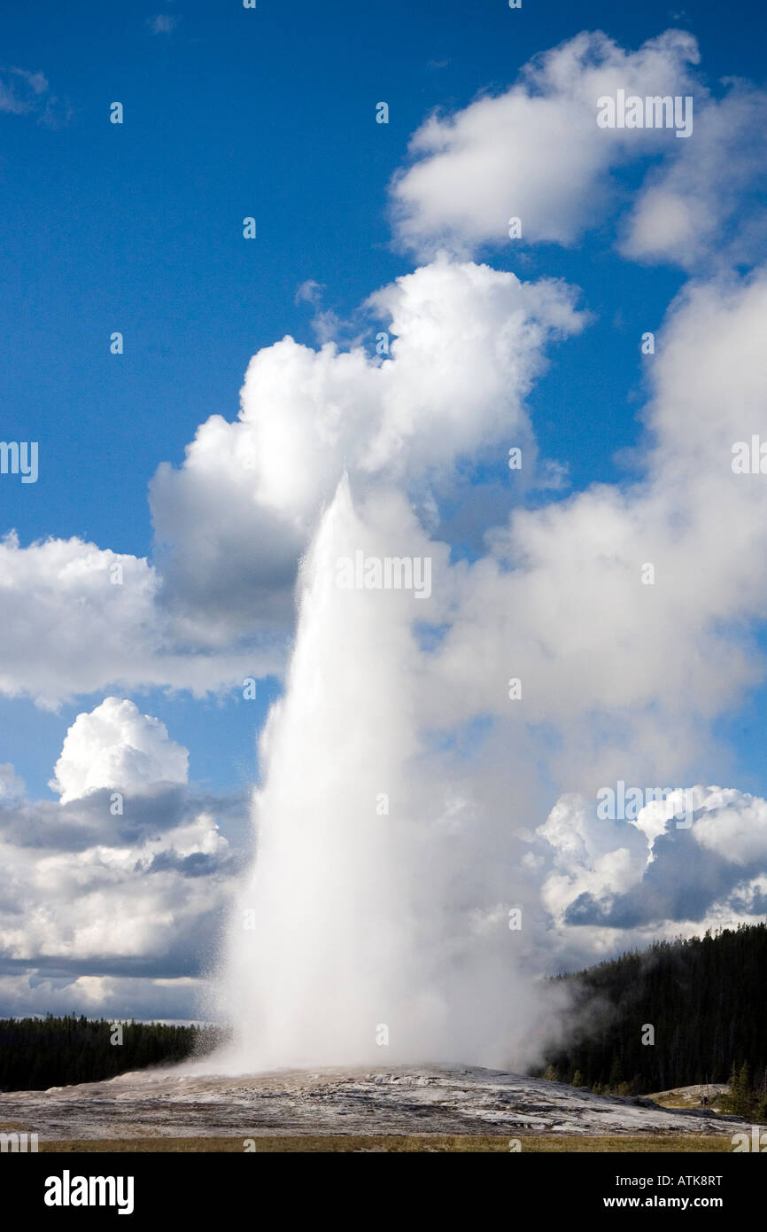 An eruption of Old Faithful Geyser Yellowstone National Park Wyoming ...