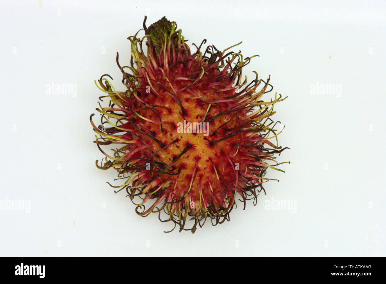 Shot rambutan fruit hi-res stock photography and images - Alamy