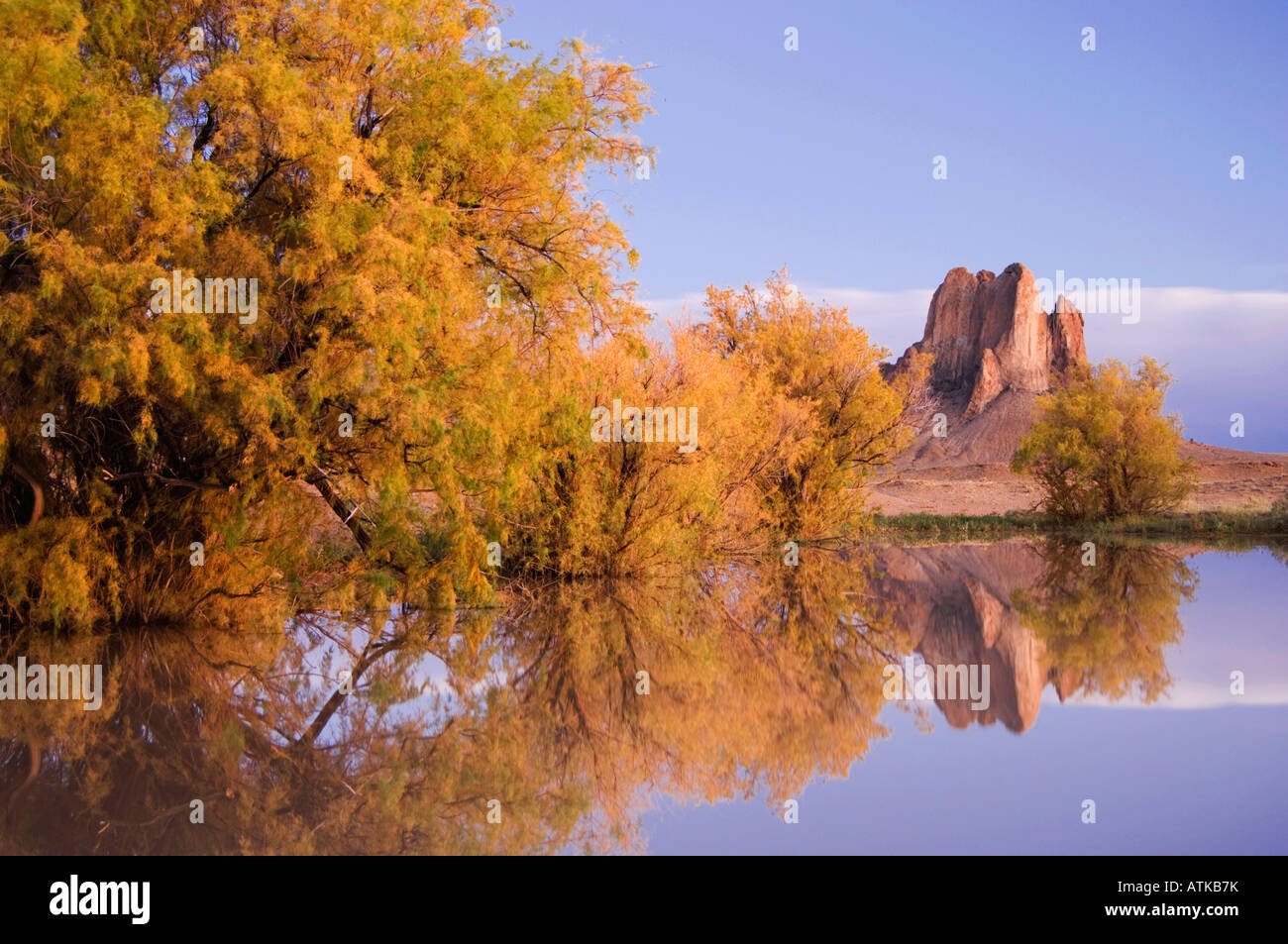 Rocks reflecting in pond with Salt Cedars at dusk Shiprock Navajo Indian Reserve New Mexico USA September 2006 Stock Photo
