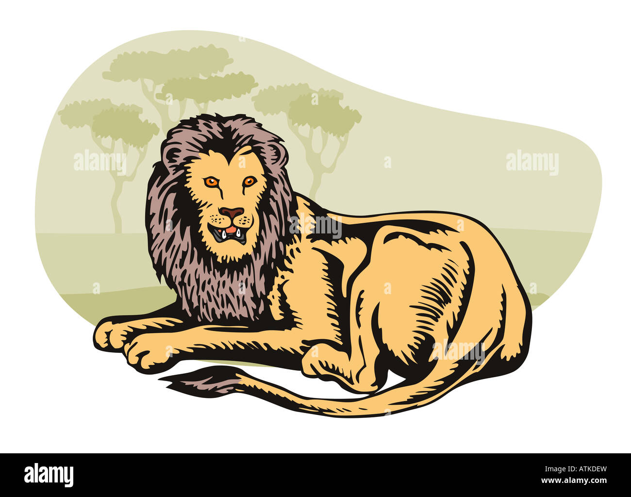 Lion with safari background Stock Photo - Alamy