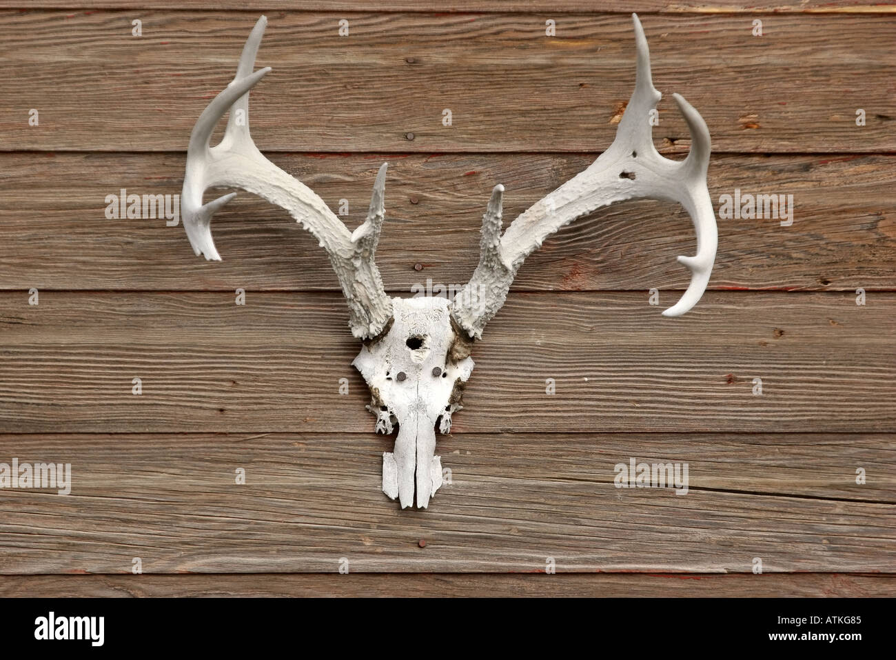 Antlers farm sale