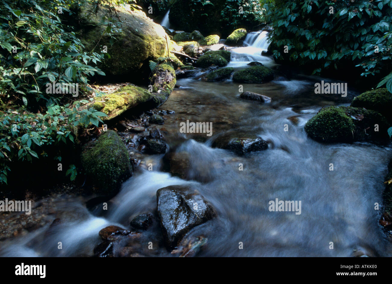 Serene Scenic Bhutan: A Tranquil Escape to Nature’s Paradise Serene Scenic Bhutan: A Tranquil Escape to Nature’s Paradise