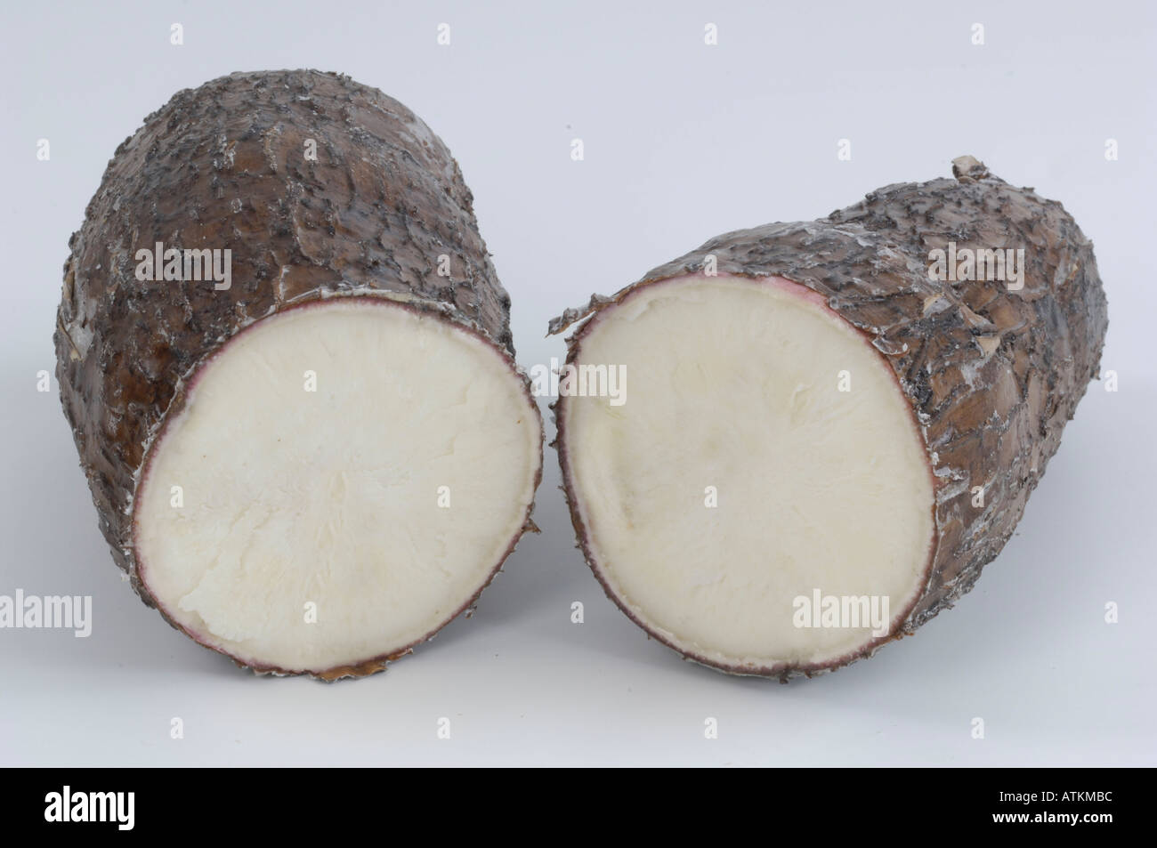 Cassava / Yuca Stock Photo