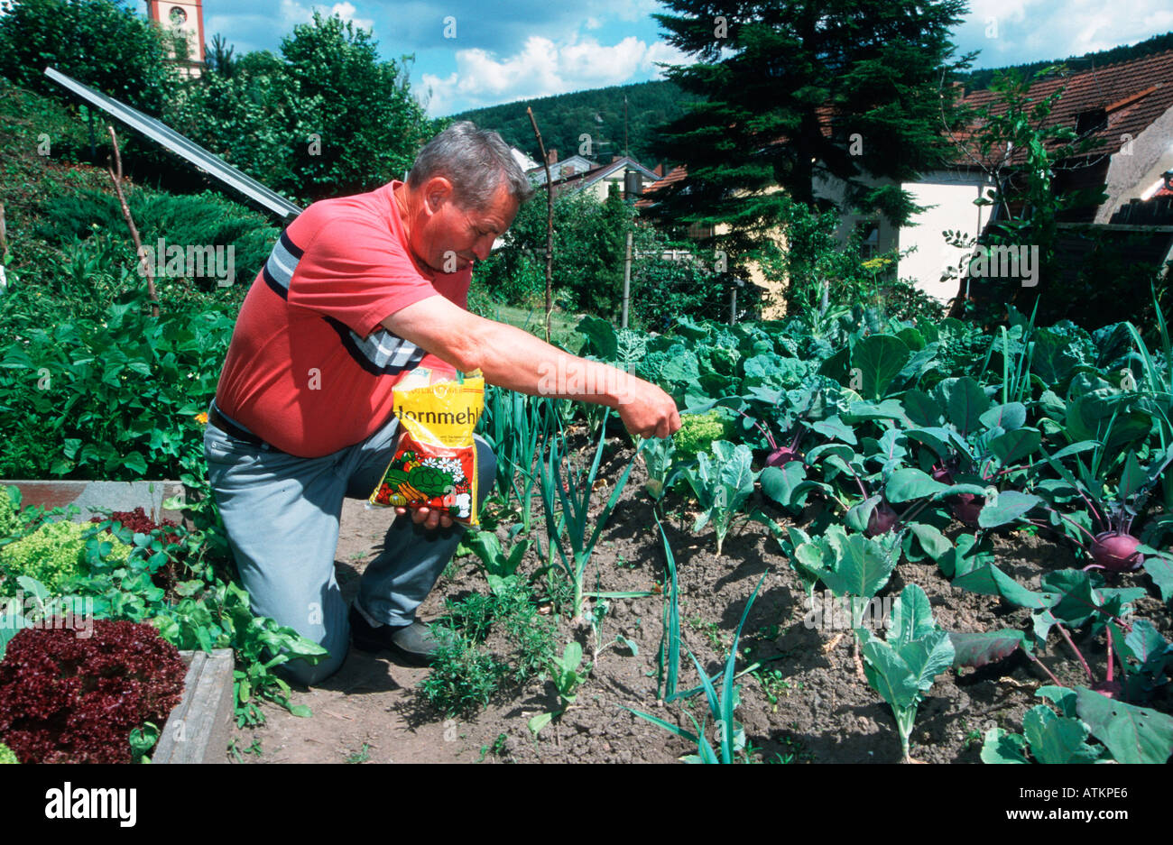 Man working in garden Stock Photo