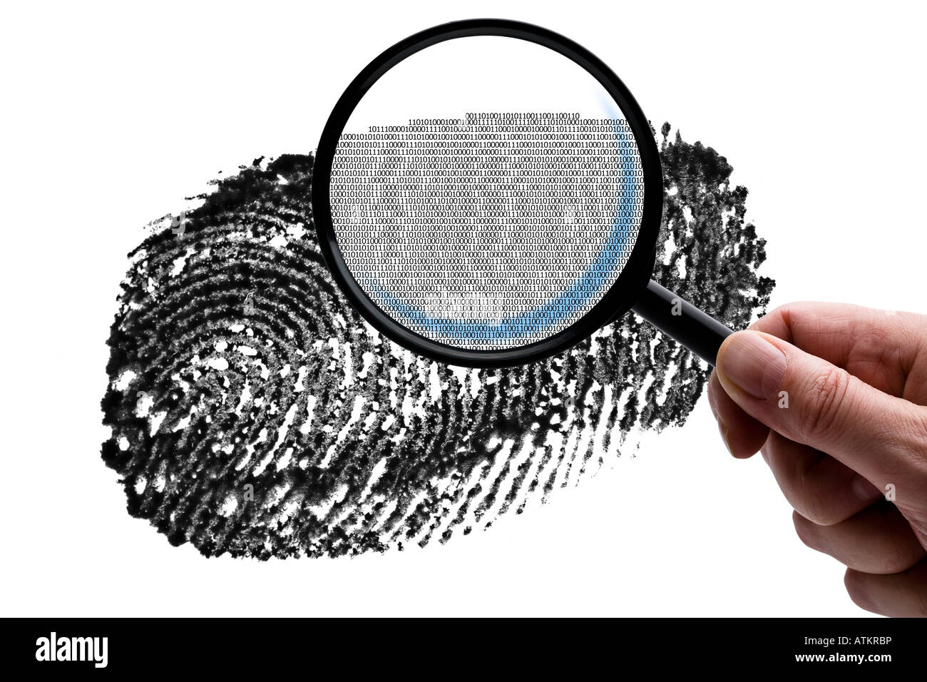 Examine a fingerprint Stock Photo