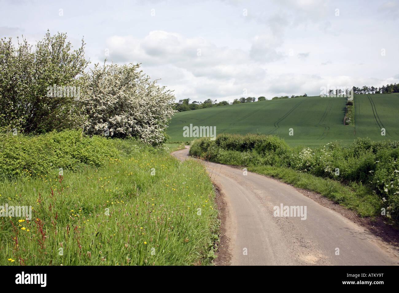 Garlinge hires stock photography and images Alamy