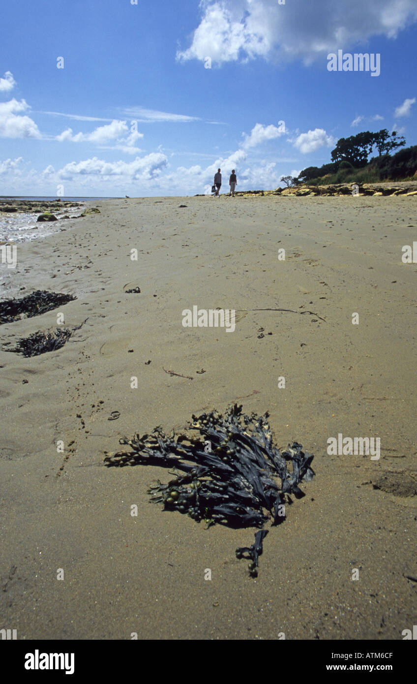 A distant couple walking on a deserted beach Stock Photo