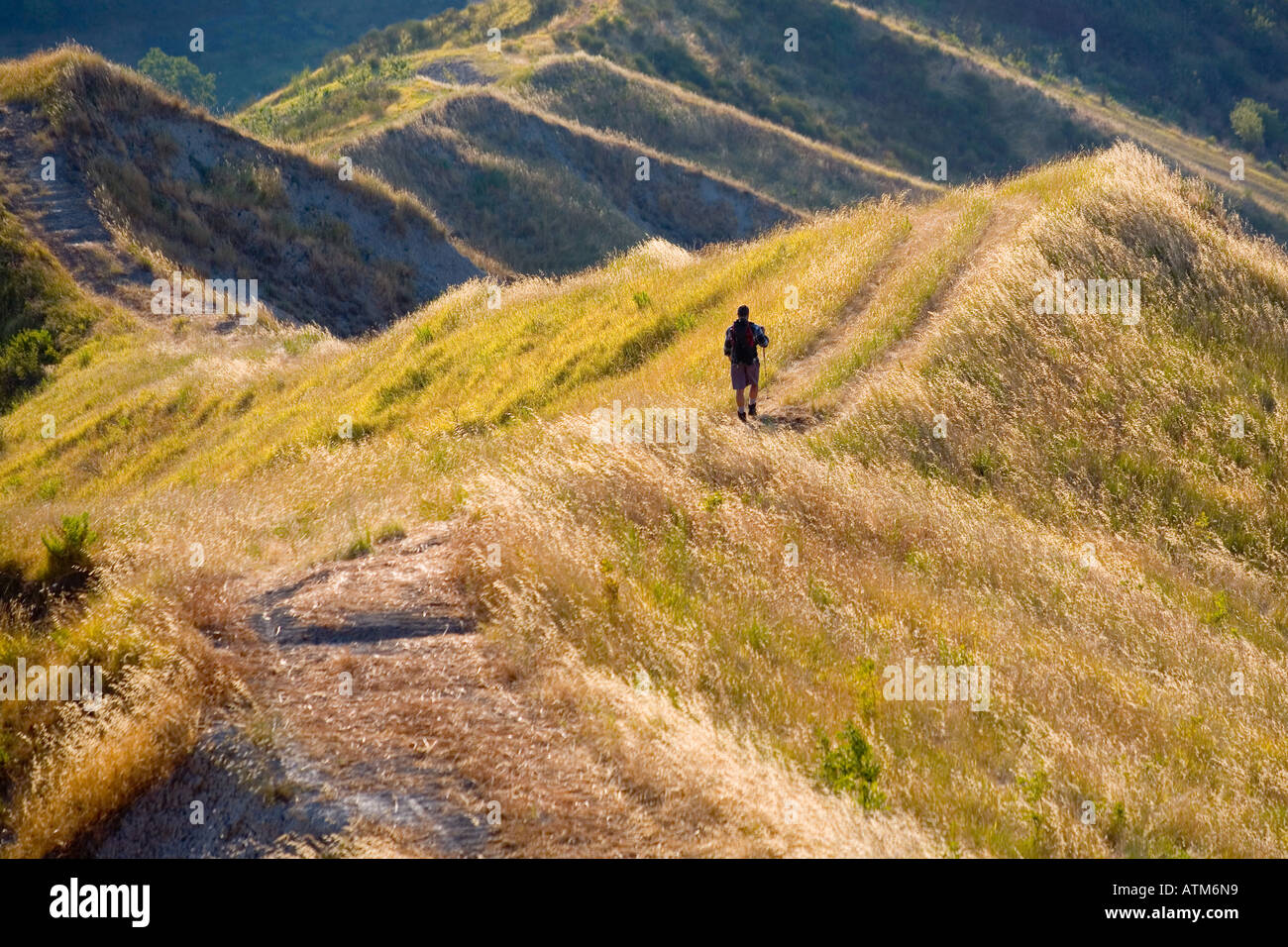 Rear view traveler hiker hi-res stock photography and images - Alamy