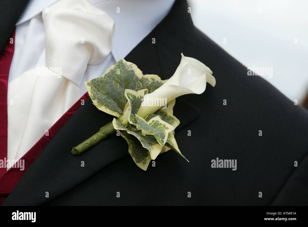 Button hole flower on bridegroom suit Stock Photo