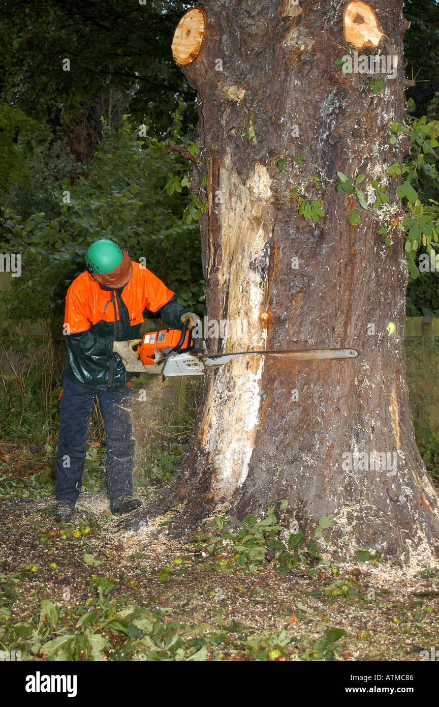 Chainsaw on the ground hi-res stock photography and images - Alamy