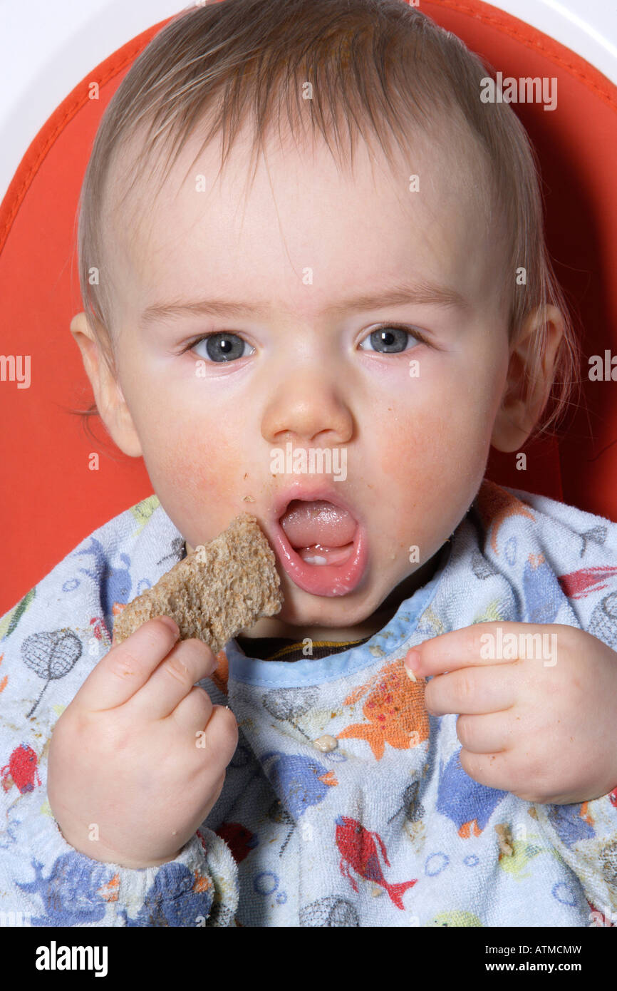 Baby eating toast Stock Photo Alamy