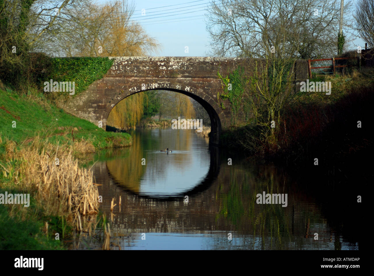 Bridge over the Grand Western Canal near Halberton in Devon Stock Photo
