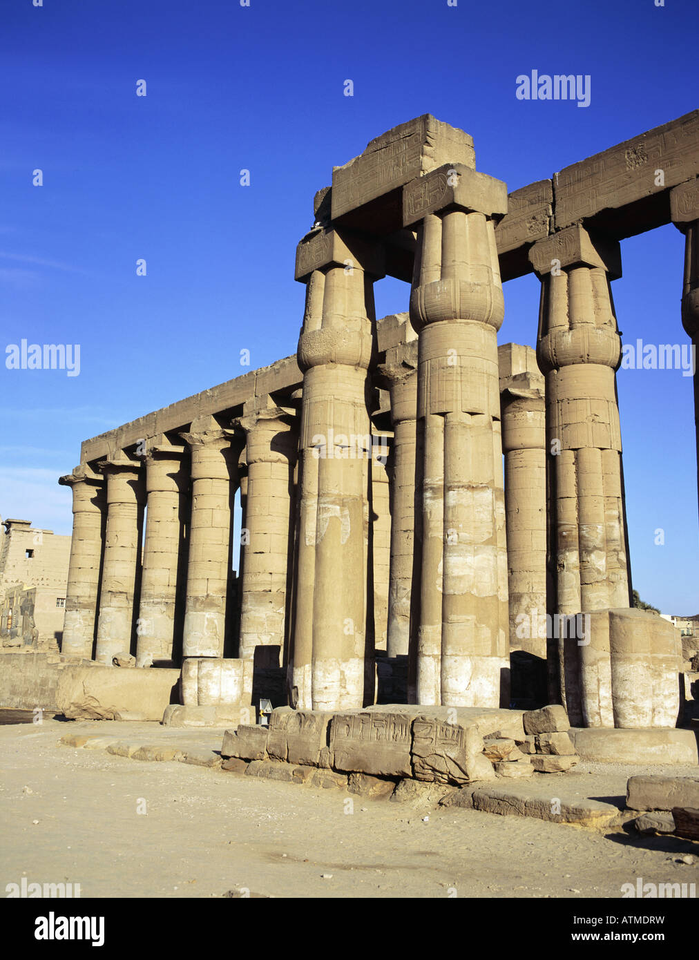 Luxor temple Court of Amenophis Amenophis 11 14 papyrus bundle columns Colonnade Ancient archaeological site Stock Photo