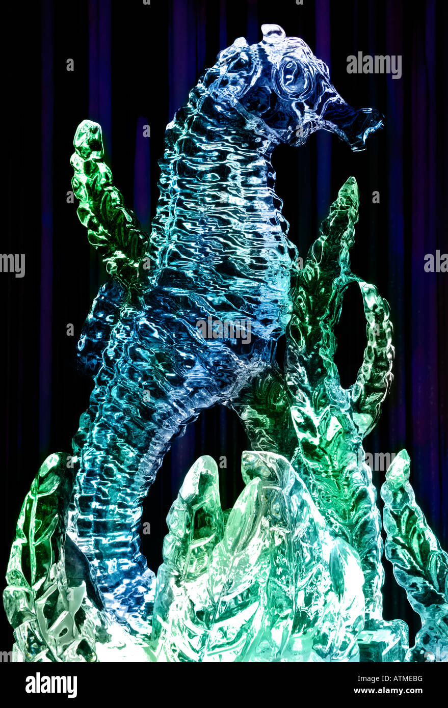Colorful ice sculpture of a seahorse Stock Photo