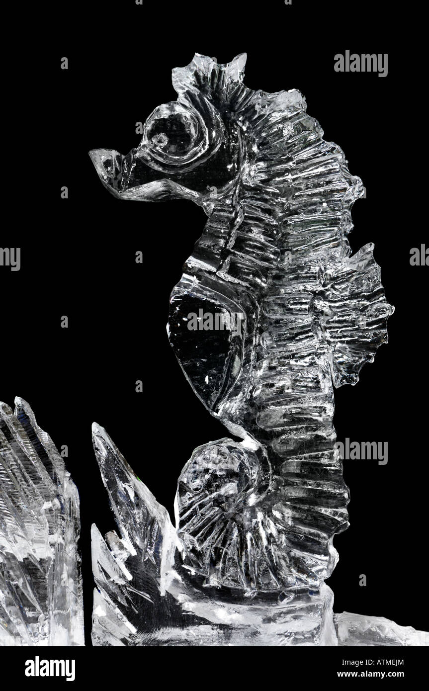 Ice Sculpture of a seahorse Stock Photo