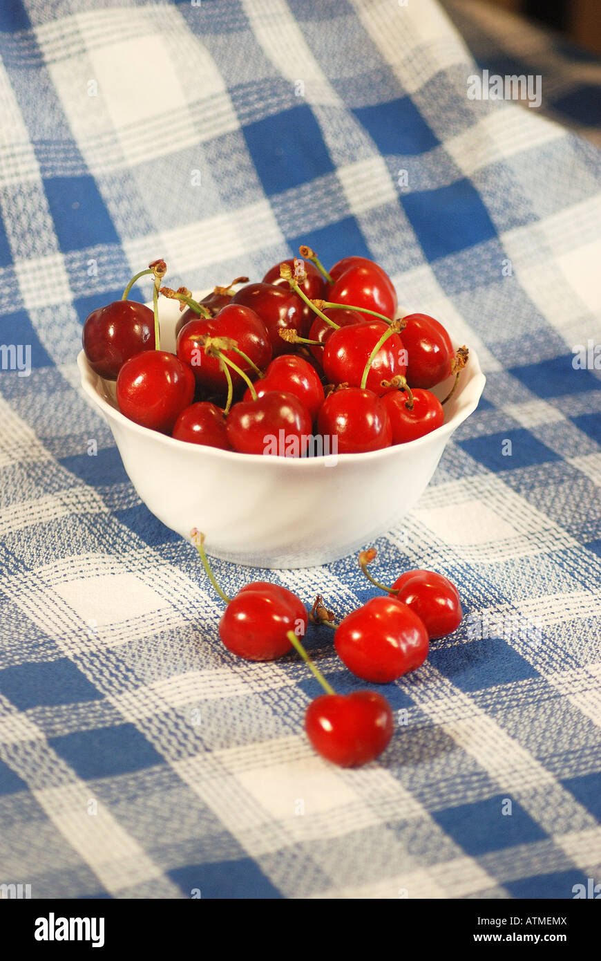 Bowl of cherries. Stock Photo