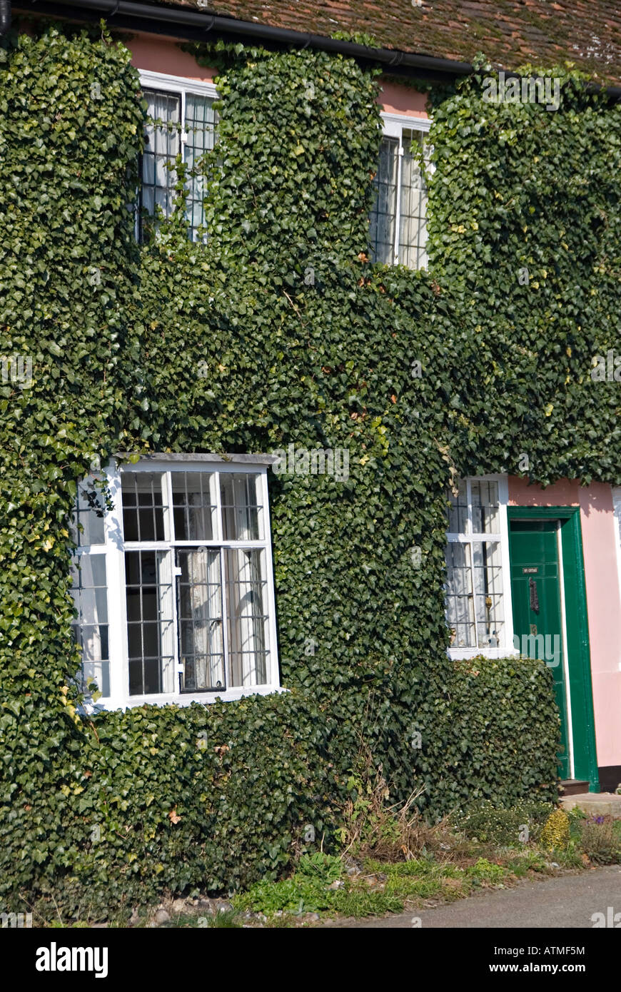 Ivy covered house uk hi-res stock photography and images - Alamy