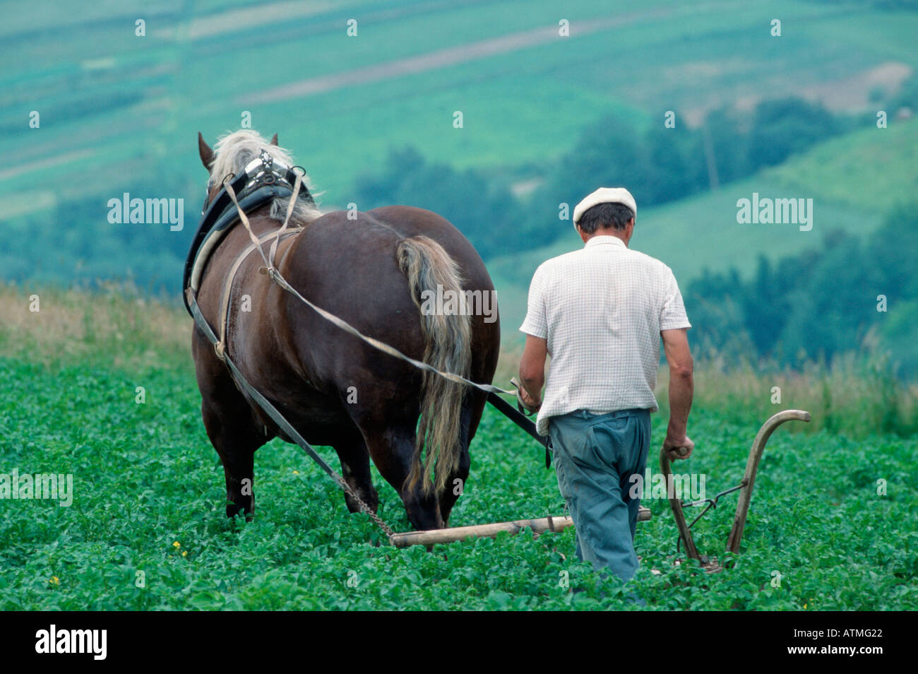 Farmer with Horse Stock Photo