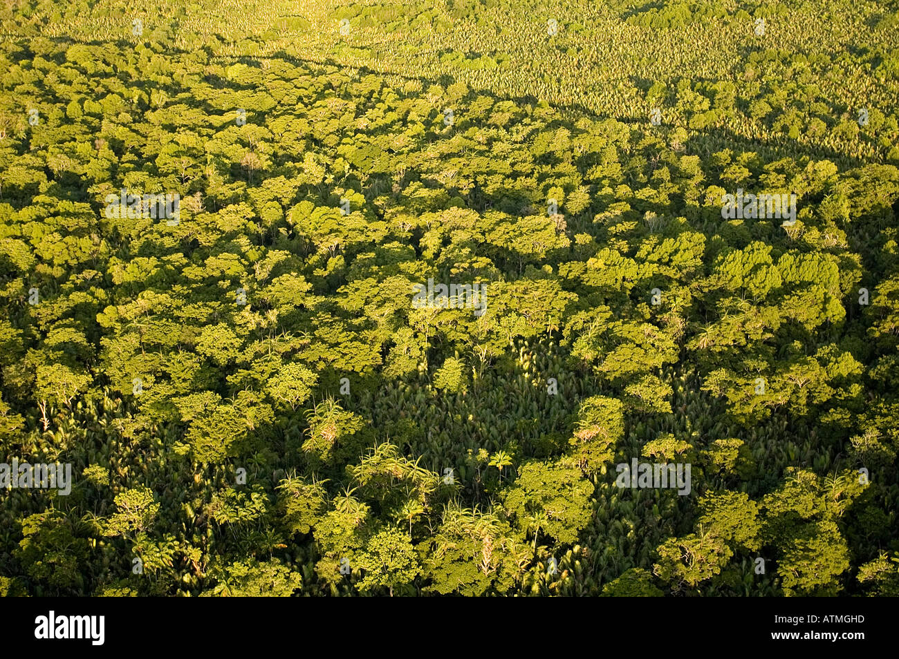 Aerial view of mangrove forest around Kuching and Sarawak River Borneo Malaysia Stock Photo