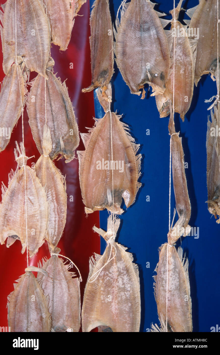 Dried fish / Oostende Stock Photo