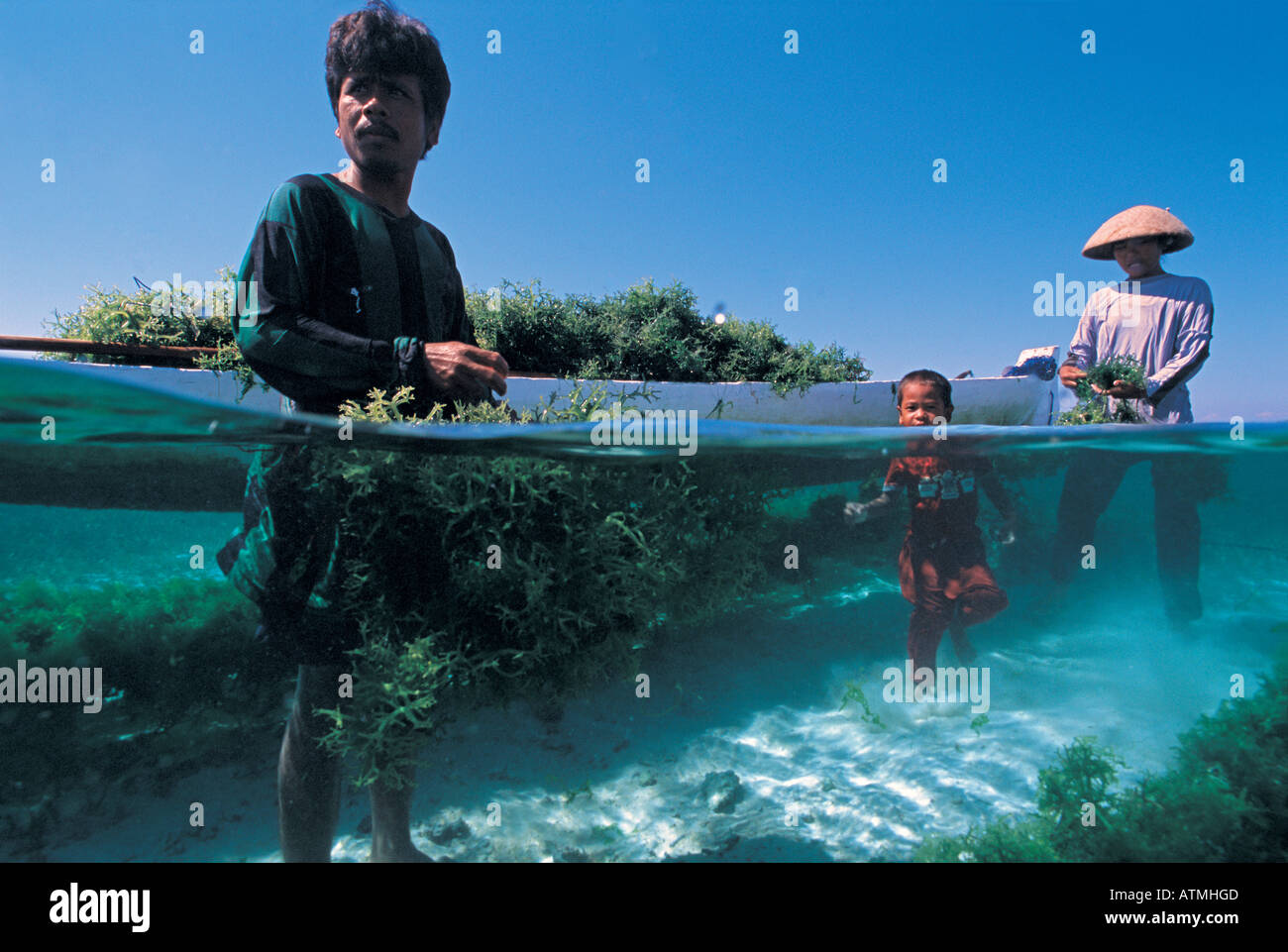 Seaweed people shop