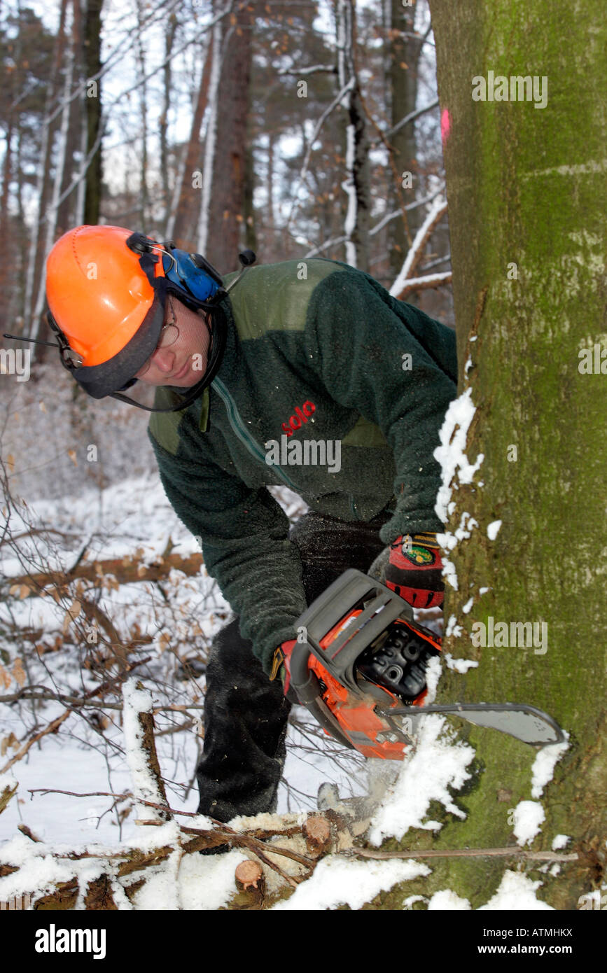 woodcutter at work Stock Photo Alamy