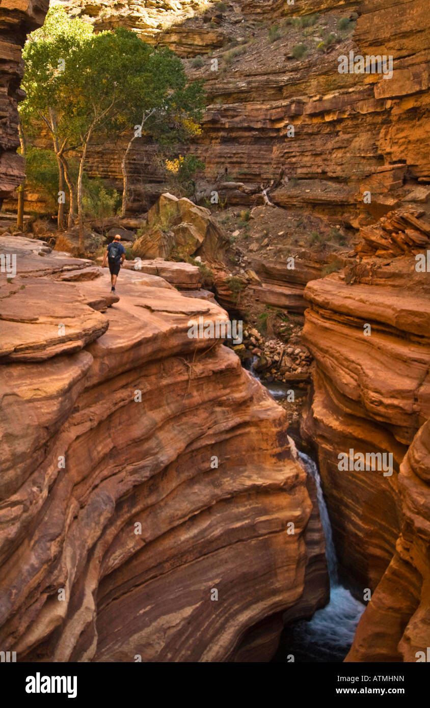 Hiking on The Patio up Deer Creek a side canyon on the Colorado River in Grand Canyon National Park Arizona Stock Photo