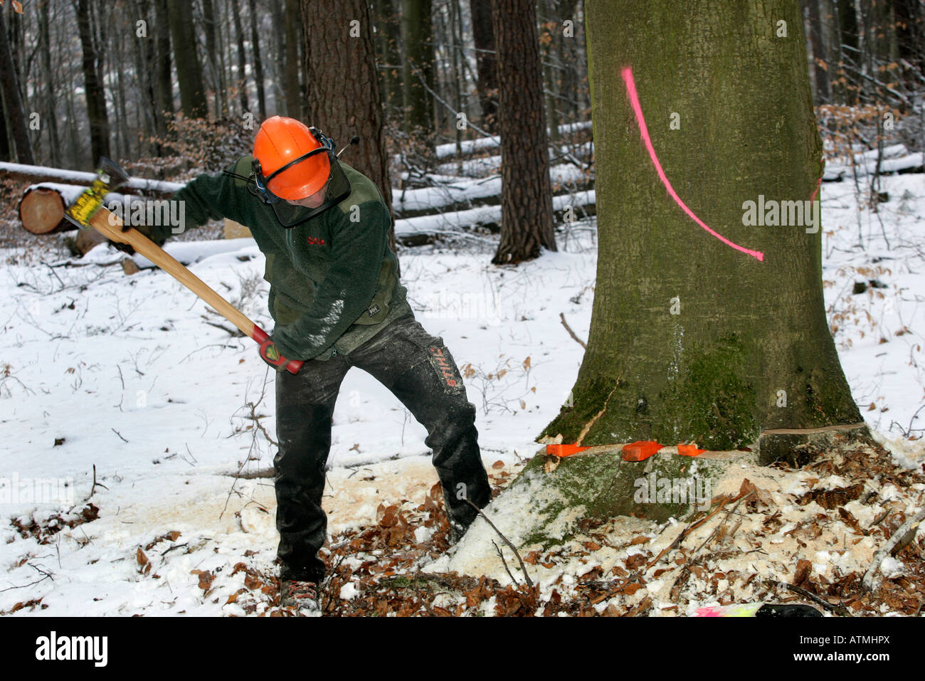 woodcutter at work Stock Photo Alamy