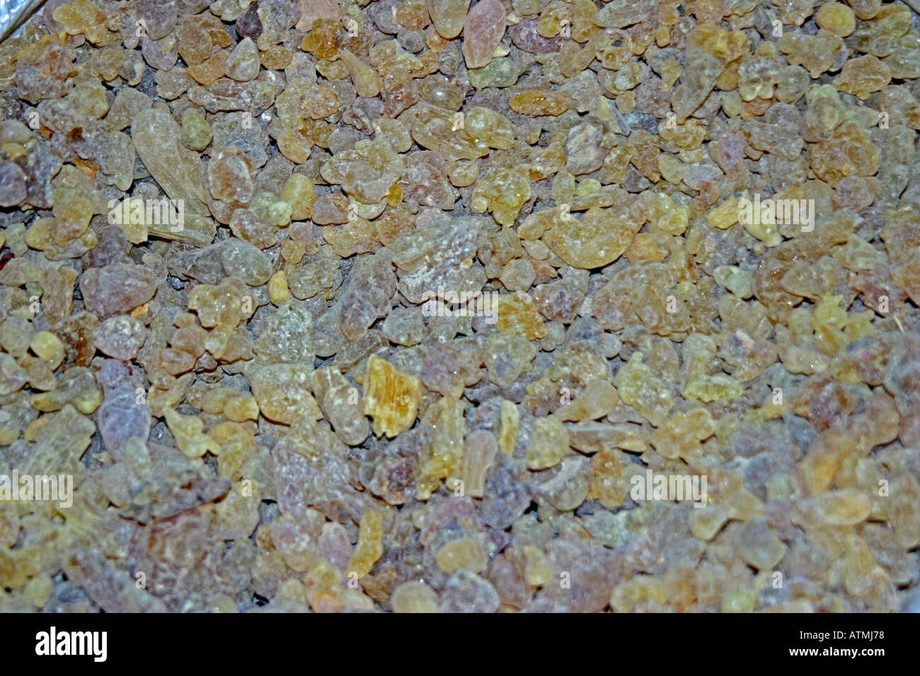 Frankincense / Incense Stock Photo Alamy