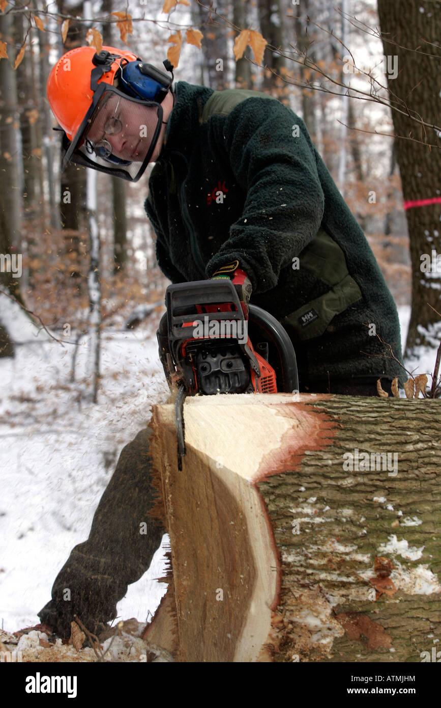 woodcutter at work Stock Photo Alamy