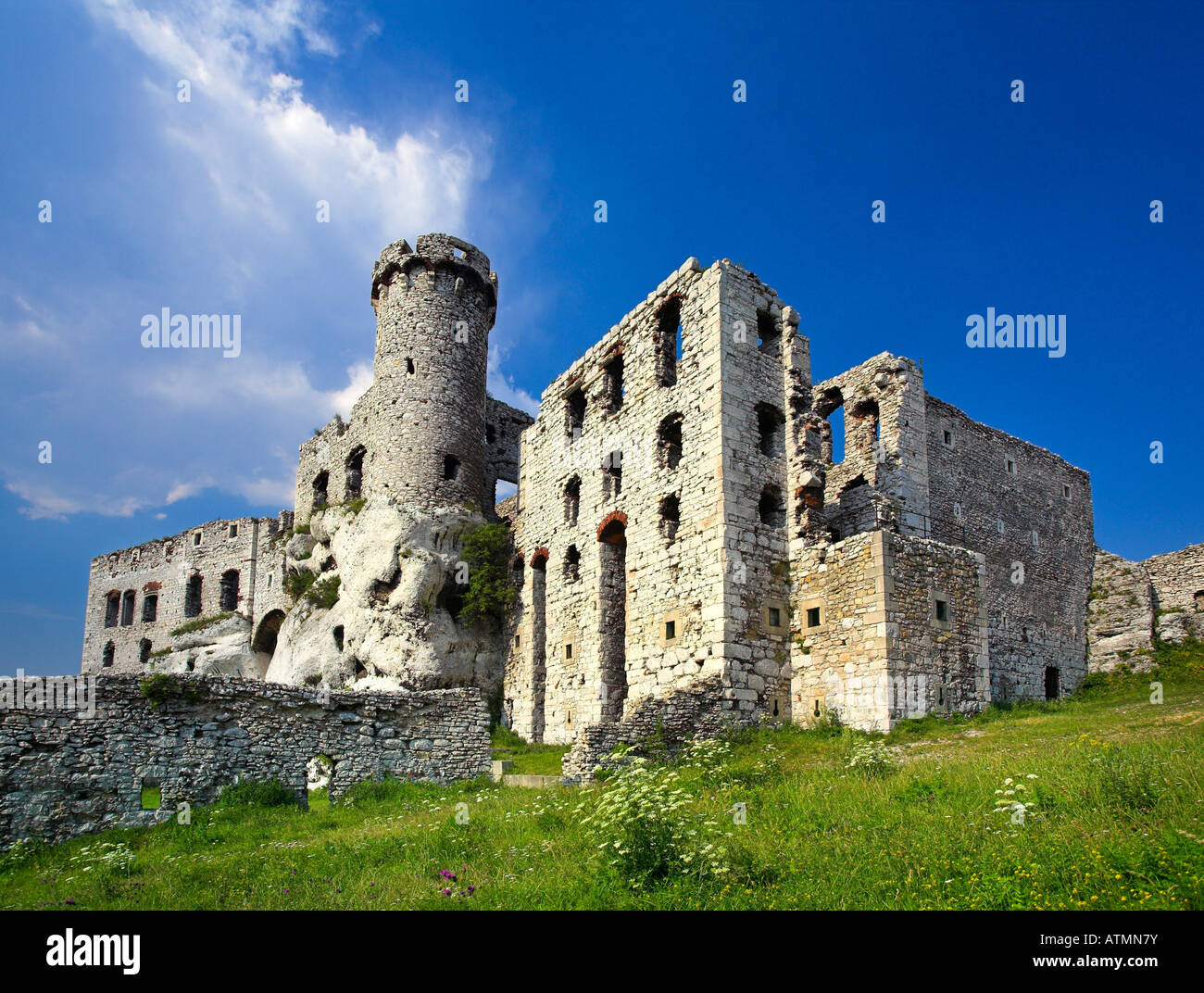 Ruins Of Castle Ogrodzieniec Poland Stock Photo Alamy