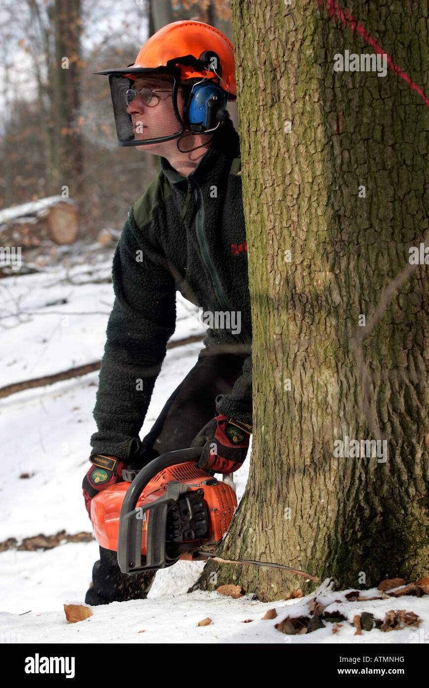 woodcutter at work Stock Photo Alamy