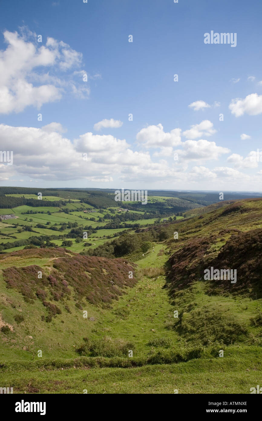 Route of railway track for old ironstone works on Rosedale Moor with view to Esk Dale valley North York Moors National Park UK Stock Photo