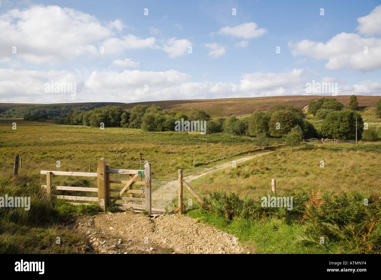 Lyke Wake Walk path through Fen Bog Yorkshire Wildlife Trust nature reserve in North York Moors National Park, North Yorkshire, England, UK, Britain Stock Photo