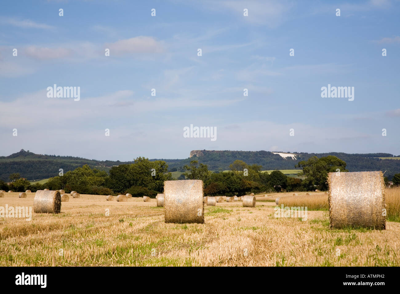 Straw bales in cut arable field on a farm after harvest. Little