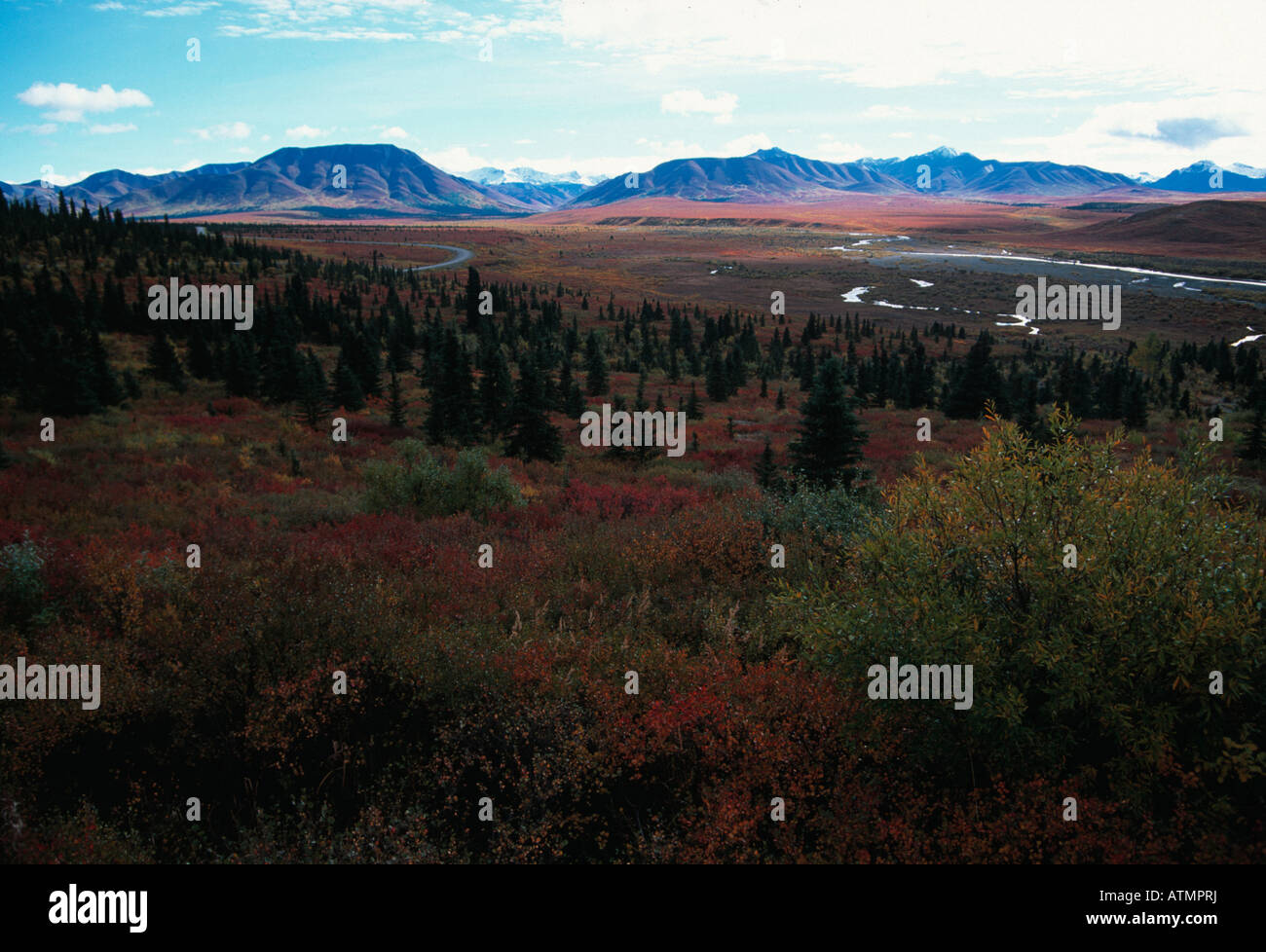Autum in Denali national park, Alaska Stock Photo