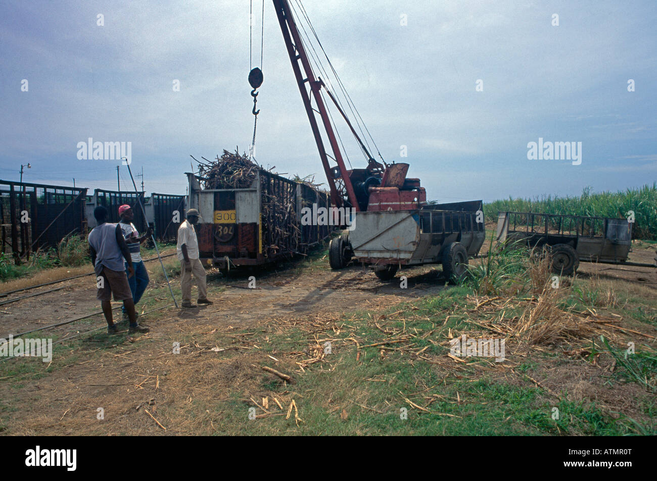 Sugarcane train hires stock photography and images Alamy