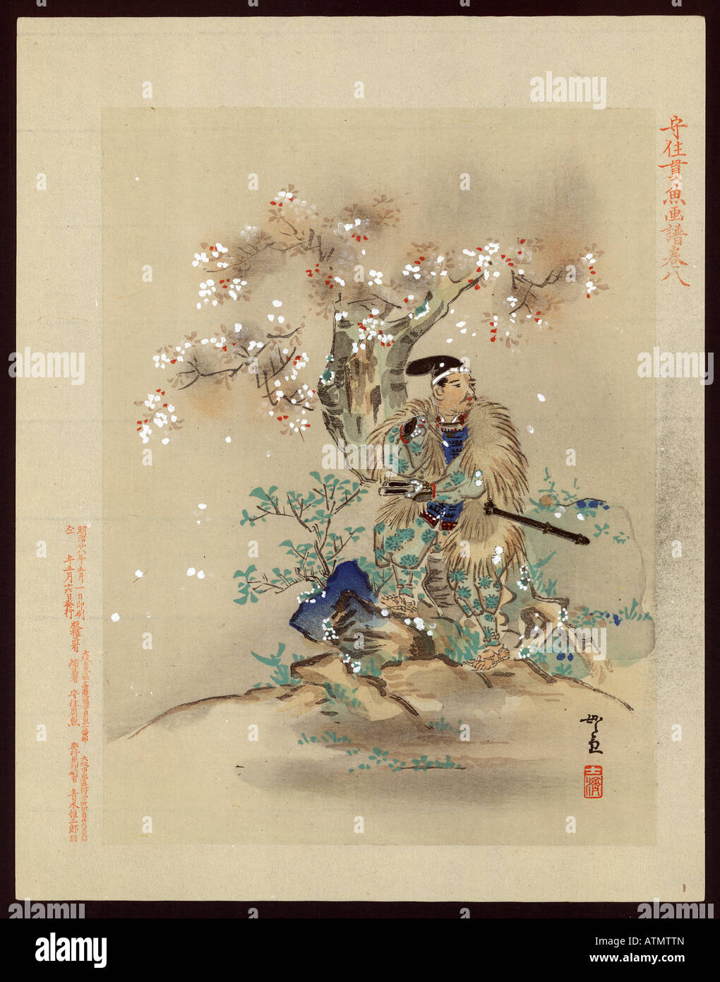 Japanese Ukiyo e print Samurai under a blooming blossom cherry tree season Stock Photo