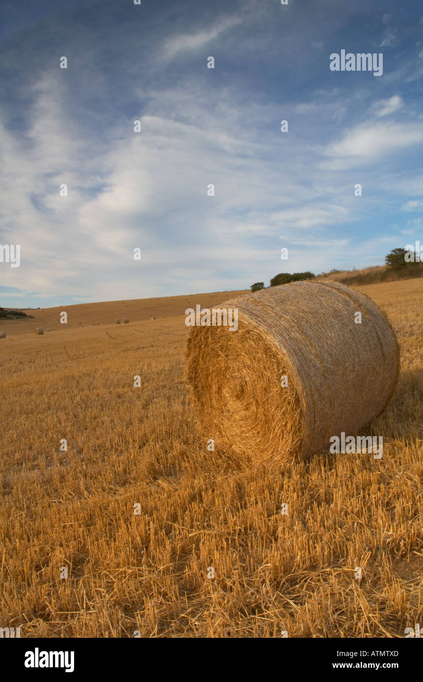 Bales crop farming golden light hay straw warm light hires stock