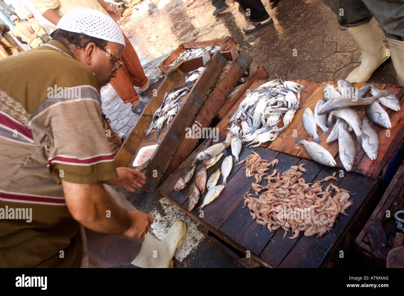 Mediterannean fish for sale at market in Alexandria Egypt Stock Photo