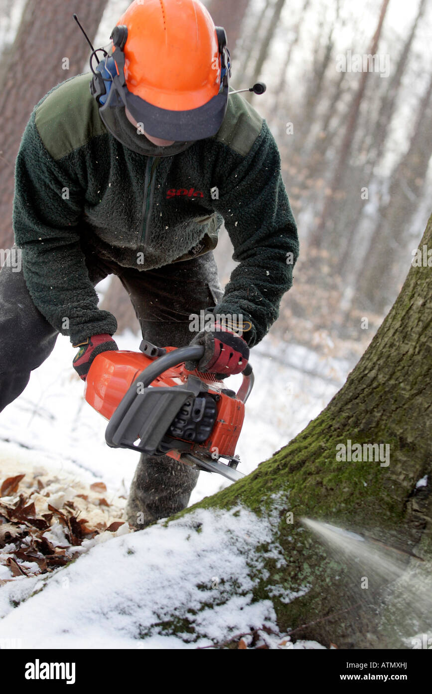 woodcutter at work Stock Photo Alamy